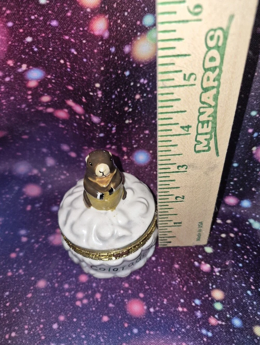 🦫✨ Vintage MSSI Colorado Beaver Glass Trinket Dish / Mini Keepsake Container
